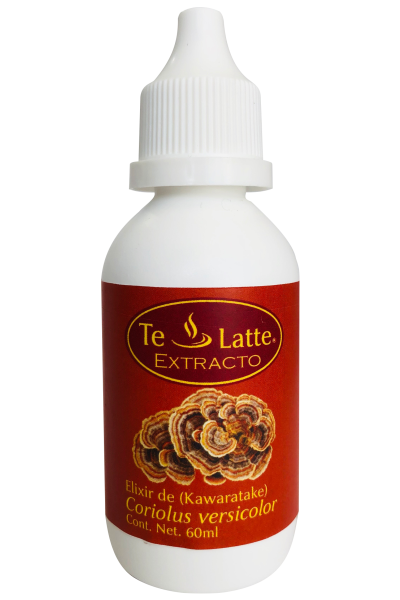 Te Latte Café - Elixir  de Trametes versicolor, KAWARATAKE, cola de pavo